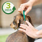 Pipetas repelentes para perro - Beaphar