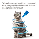Pipeta FiproTec (Gatos) - BEAPHAR