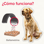Canishield collar desparasitación - Beaphar