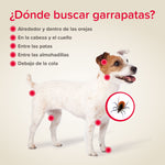 Canishield collar desparasitación - Beaphar