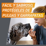 FrontPro