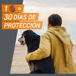 FrontPro