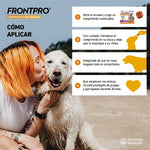 FrontPro