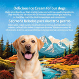 Helado "polo" para perros (Pollo Asado)