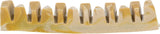 Hueso mandíbula pequeño (12cm - 35g) veggie - Denta Fun