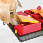 Dog Activity Poker Box