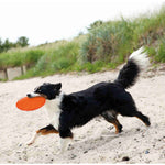 Frisbee (18 cm)  - Cachorros y pequeños